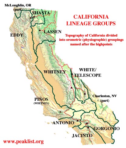 Map of the Lineage Groups